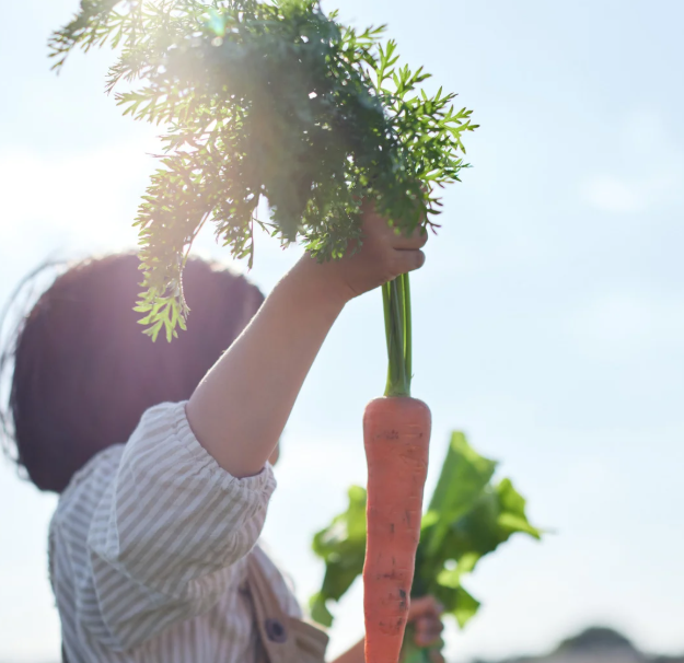 Odoo • Imatge i text