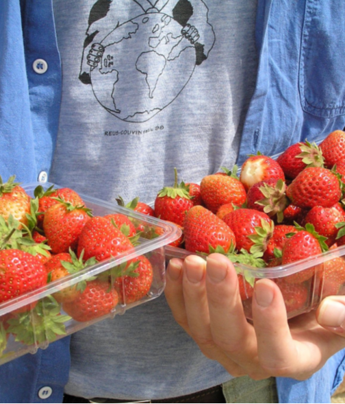 Odoo • Imatge i text