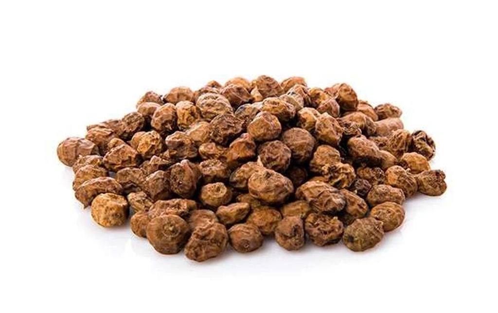 XUFA DE VALENCIA A DOJO ECO