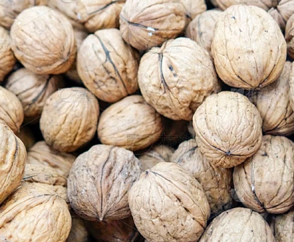 NOUS AMB CLOSCA A DOJO