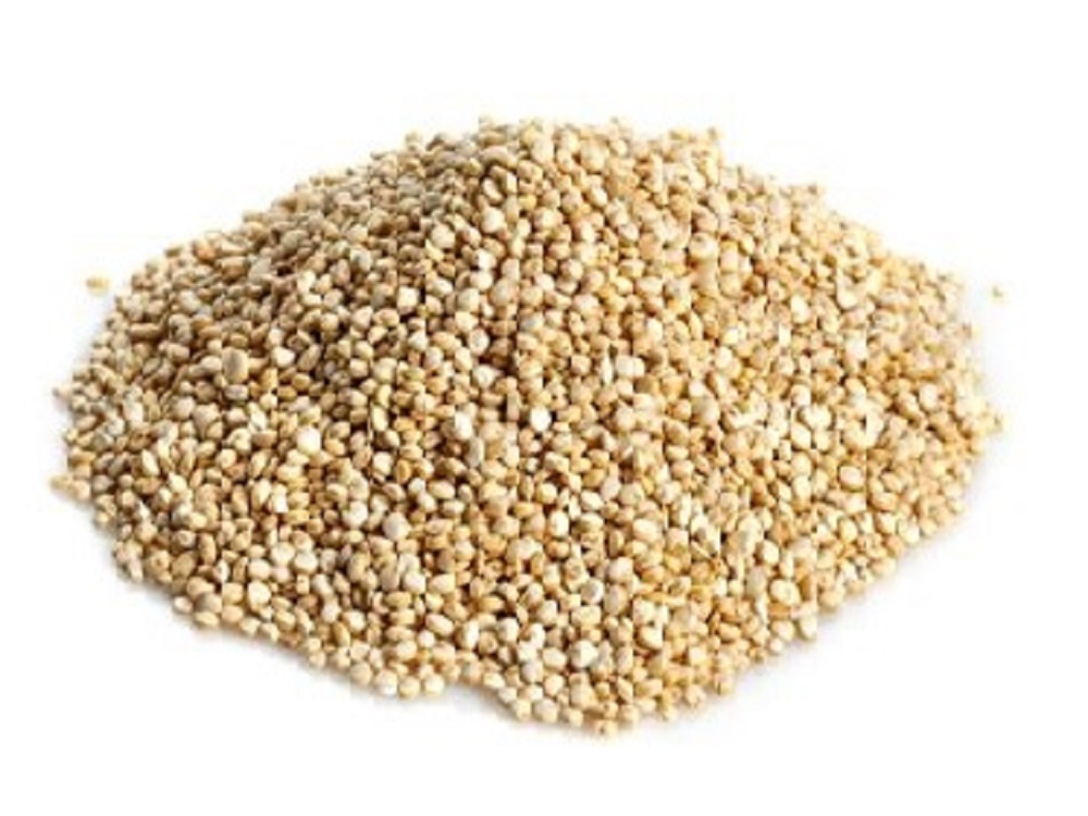 QUINOA REAL A DOJO PAÑO