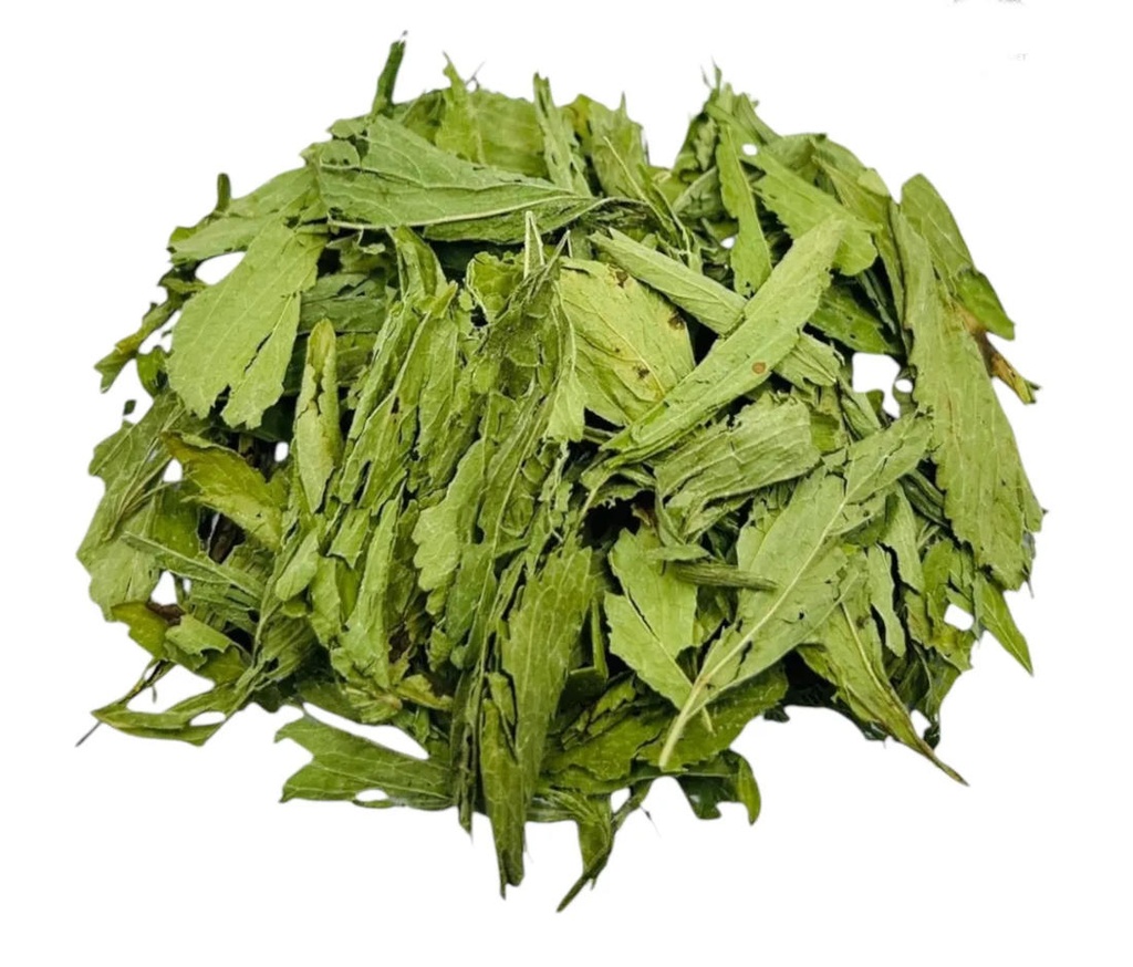 FULLES D´ESTEVIA PER INFUSIO A DOJO BIO