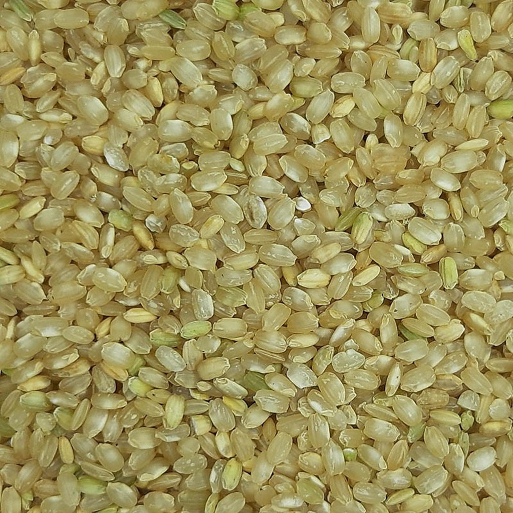 ARROS INTEGRAL RODO  A DOJO