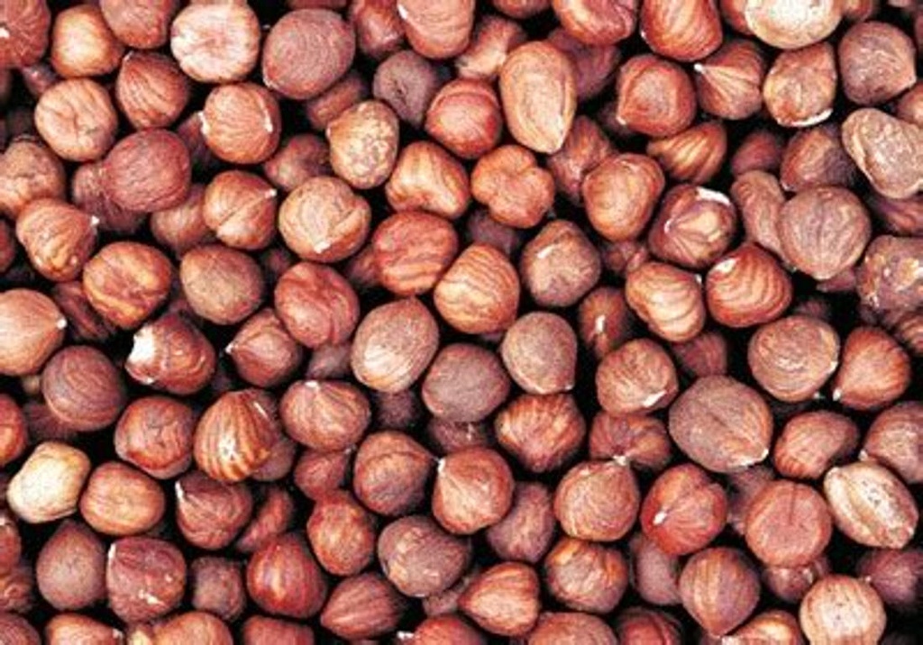 AVELLANA NEGRETA GRA CRUA A DOJO