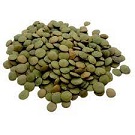 LLENTIA CASTELLANA A DOJO