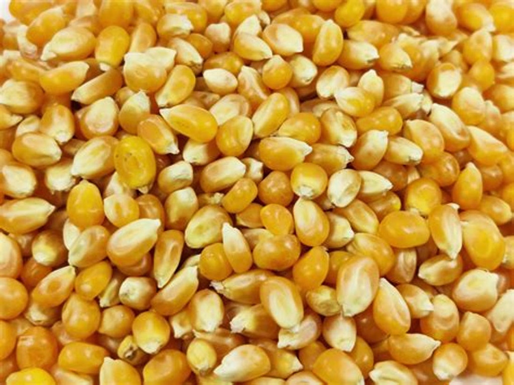 MORESC PER FER CRISPETES  A  DOJO