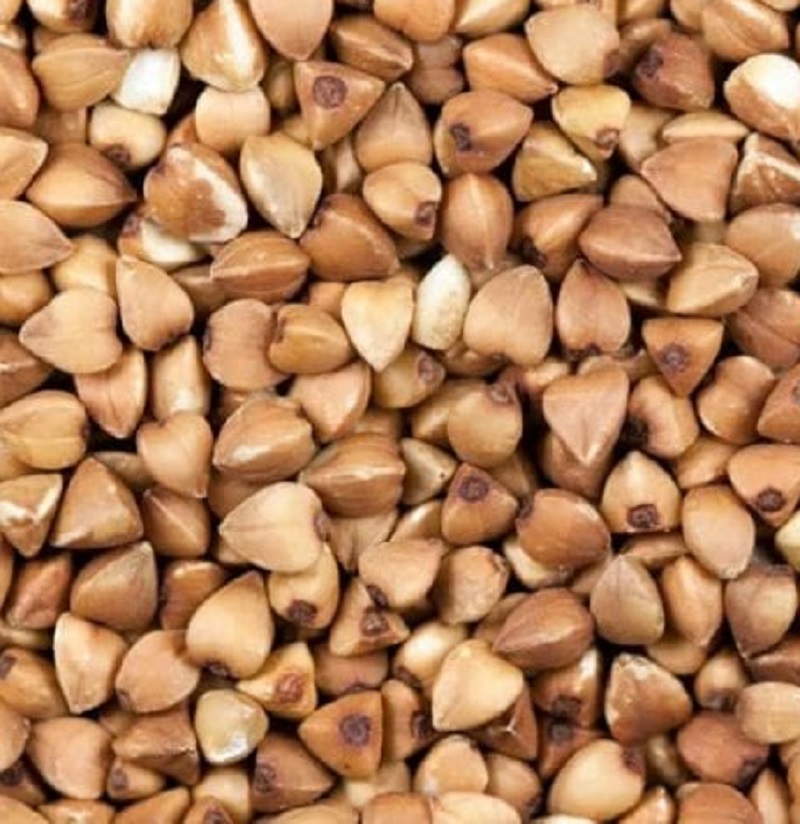 FAJOL (BLAT SARRAÍ) A DOJO