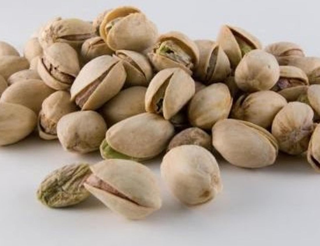 FESTUC TORRAT A DOJO CAN GALDERIC