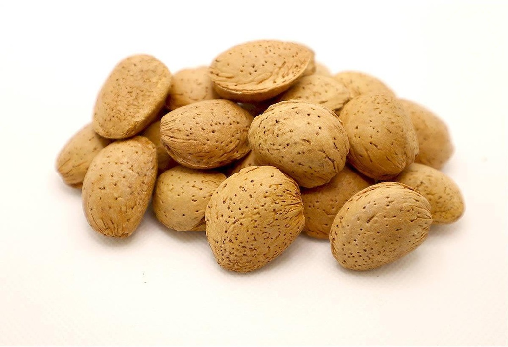 AMETLLA CLOSCA MARCONA A DOJO