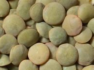 LLENTIA VERDA   A DOJO