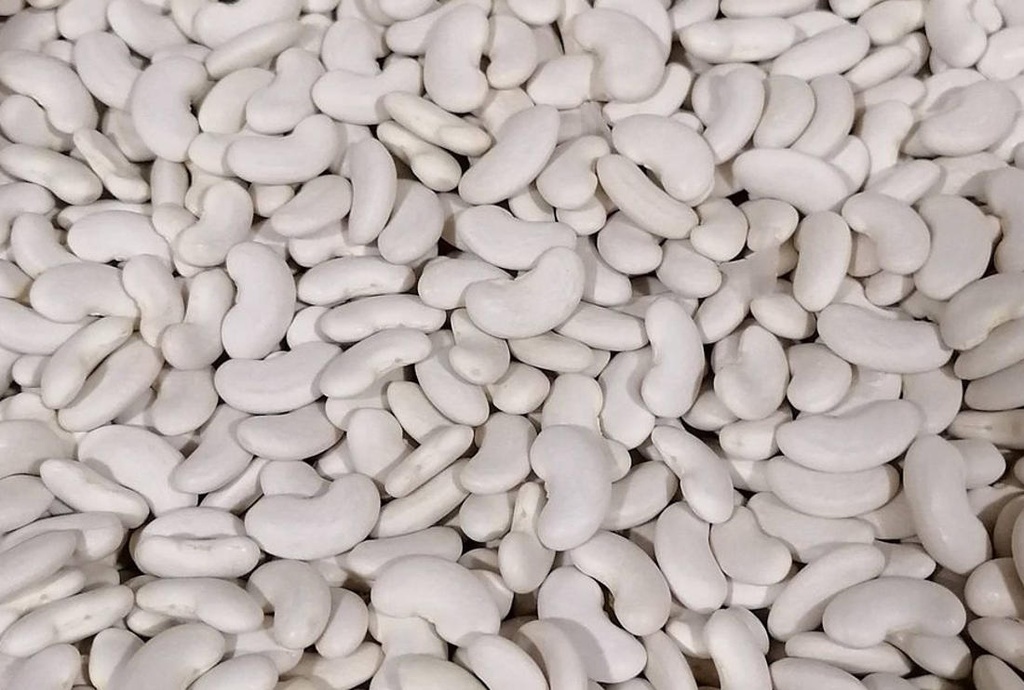 FESOLS BLANCS A DOJO