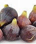 FIGUES BLANQUES/COLL DE DAMA
