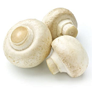 BOLET XAMPINYO BLANC   BIO