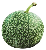 CARBASSA CABELL D´ANGEL ECO 