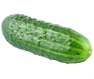 COGOMBRE