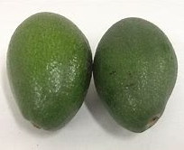 ALVOCAT BACON / REED