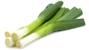PORRO A KG