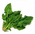 ESPINAC