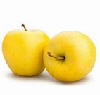 POMA GOLDEN/LAFAYETTE