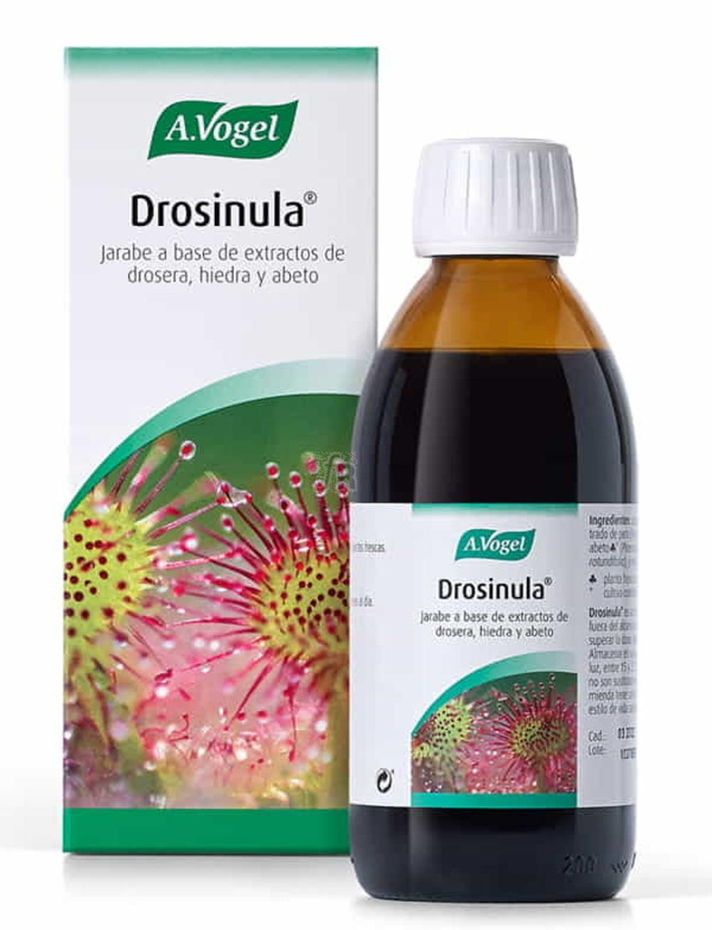 DROSINULA  VOGEL