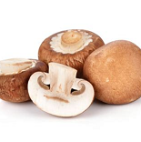 BOLET XAMPINYO PORTOBELLO A DOJO