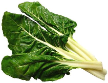 BLEDA A KG