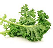 COL  KALE / CRESPA / BROTO / A KG