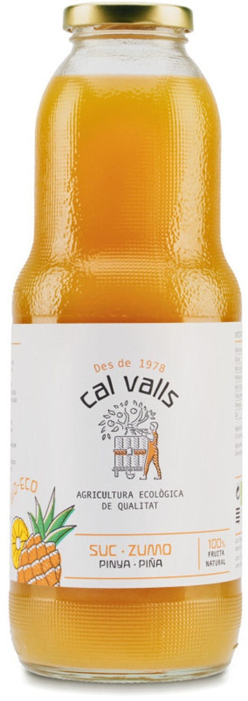 SUC DE PINYA ECO 1L CAL VALLS