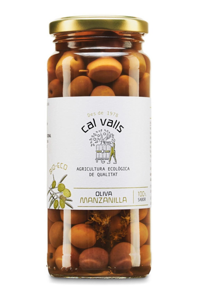 OLIVES "MANZANILLA" (C.VALLS)
