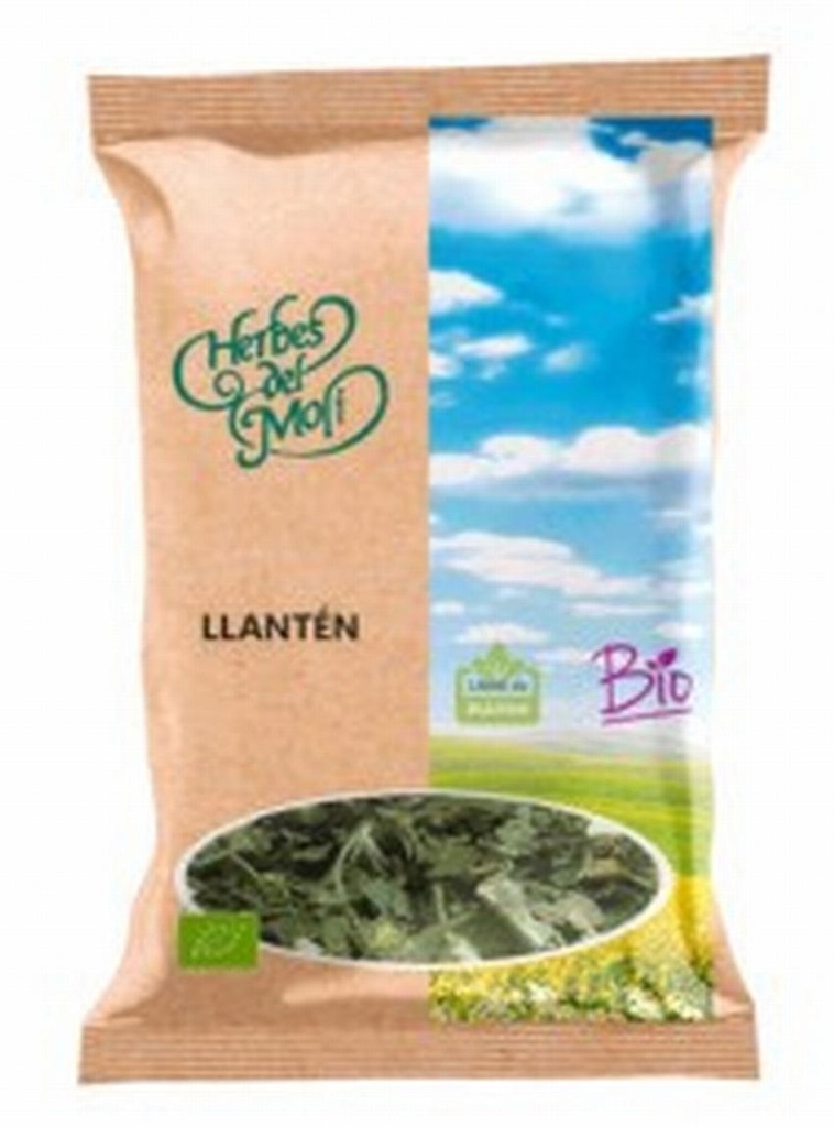 PLANTATGE (LLANTEN) 45GR HERBES DEL MOLI