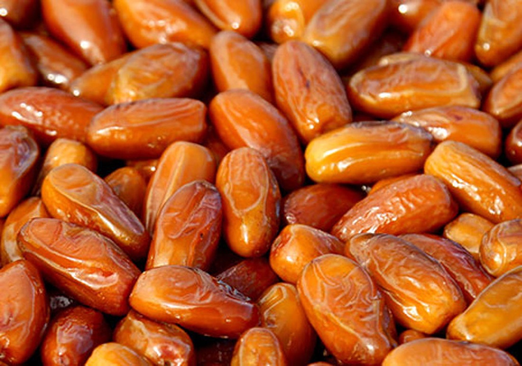 DÀTIL DEGLET TUNISSIA A DOJO