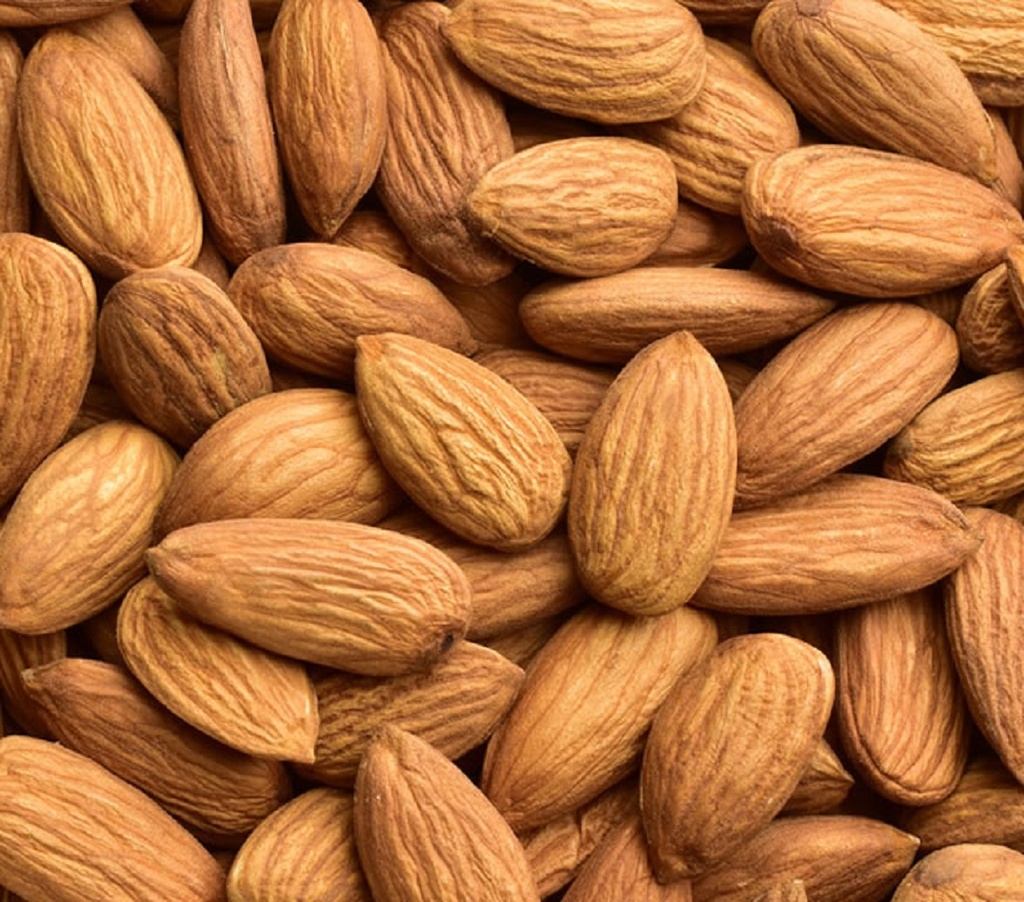 AMETLLA CRUA EN GRA A DOJO LA MONTOLIVA