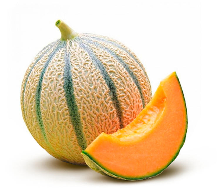 MELO FRANCÈS CANTALUP