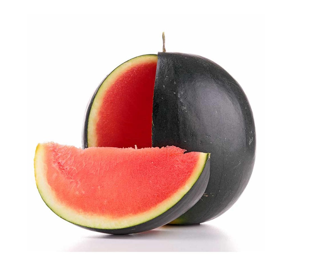 SINDRIA ANTIGA/NEGRA