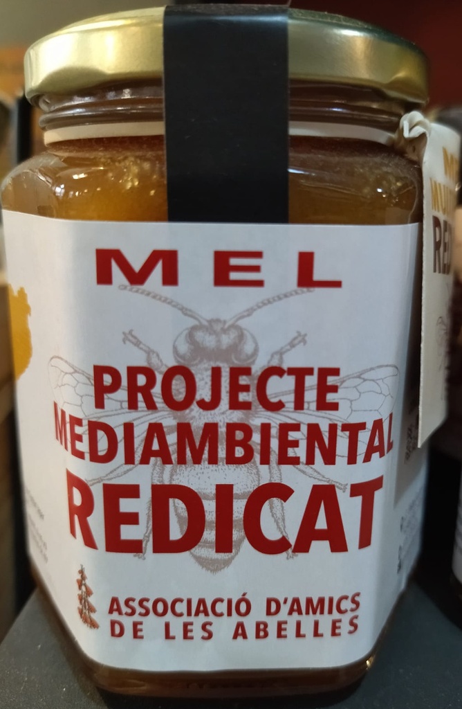 MEL MULTIFLORAL 400gr REDICAT