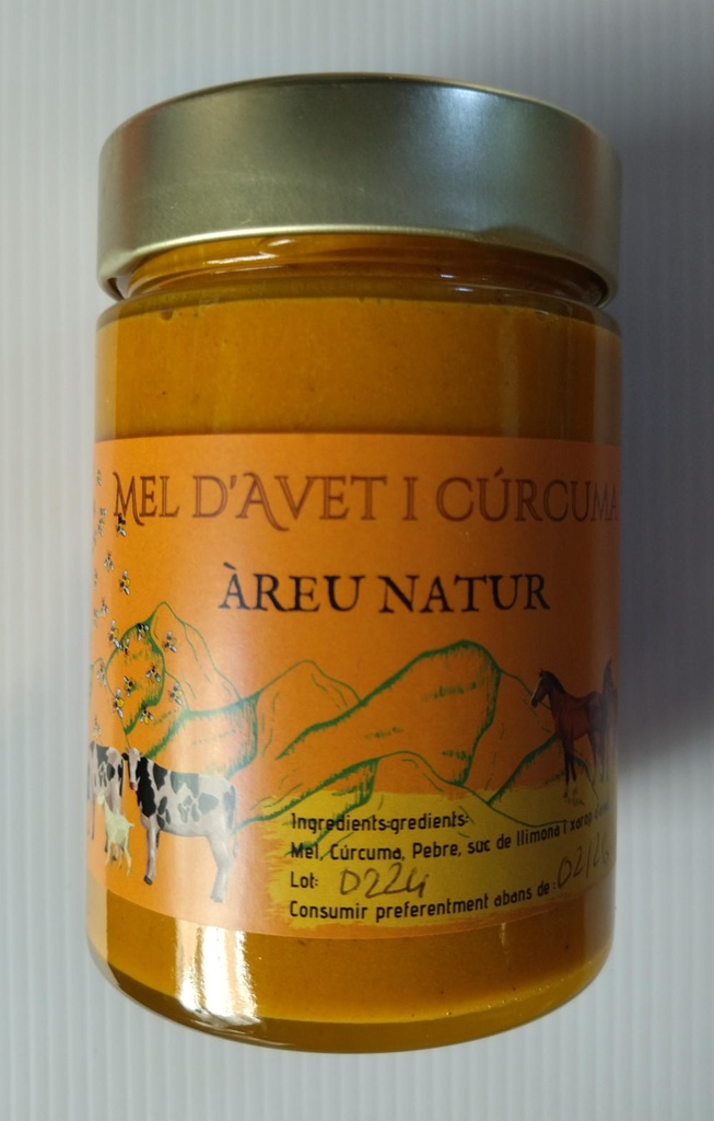 MEL D'AVET I CÚRCUMA 450gr ÀREU NATUR