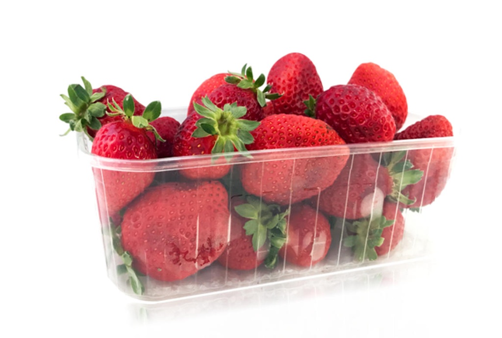 MADUIXOT CATALÀ SAFATA