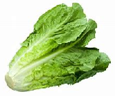 ENCIAM MERAVELLA-ROMANA A UNITAT