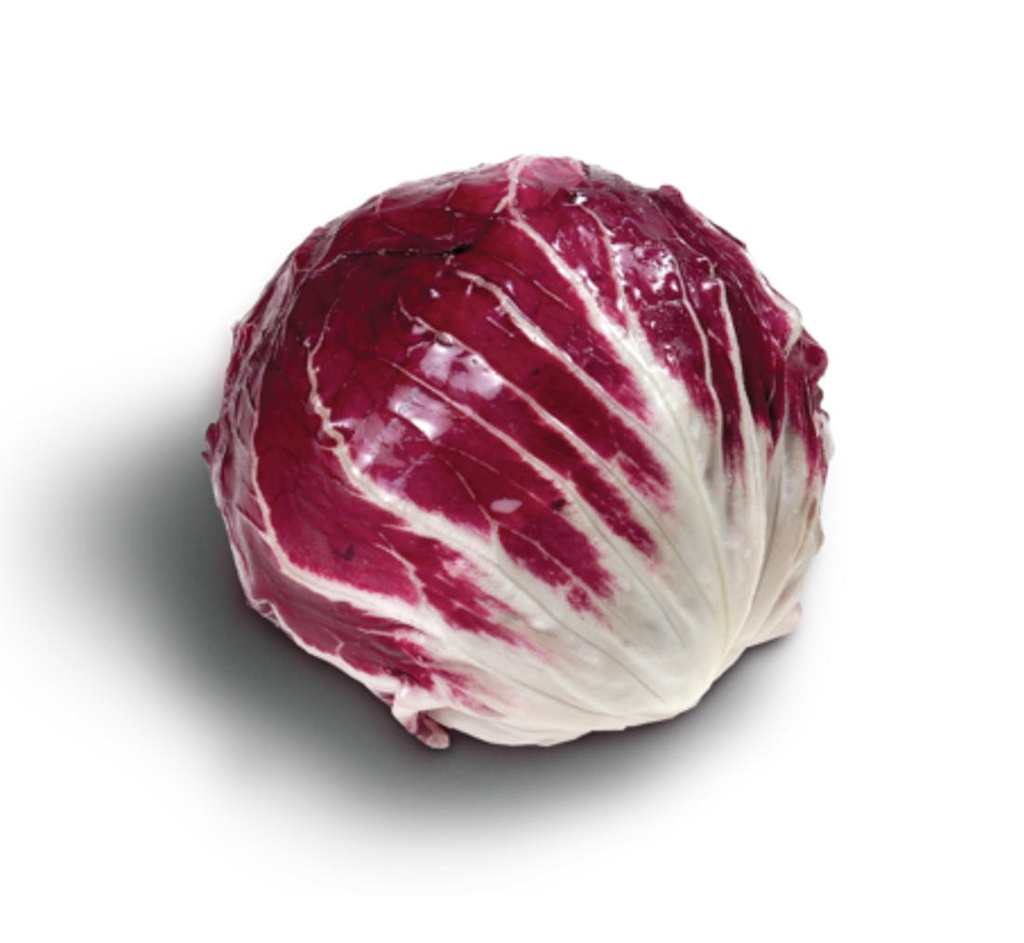 RADICCHIO, XICOIRA BRUSEL·LES A UNITAT