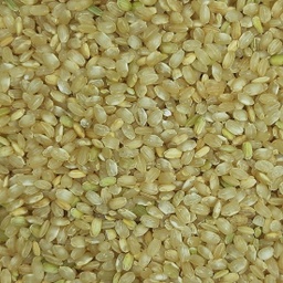 [000379] ARROS INTEGRAL RODO A DOJO