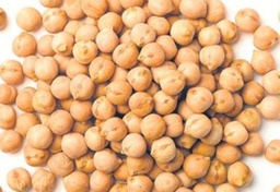 [000385] CIGRONS   A DOJO