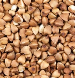 [000396] FAJOL (BLAT SARRAÍ) A DOJO