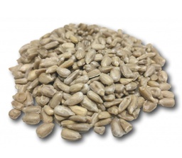 [000609] PIPES GIRASOL A DOJO  