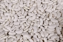 [000927] FESOLS BLANCS A DOJO