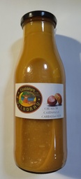 [221240522CREMCAS] CREMA DE CASTANYA I CARBASSA 500ml VILADRAU