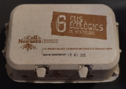 [338] OUS ECO  EL COLL DE NOGUERA