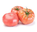 [521] TOMÀQUET ROSA BARBASTRE/CÒRSEGA