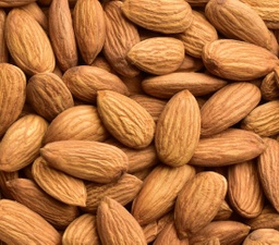 [000301] AMETLLA CRUA EN GRA A DOJO LA MONTOLIVA