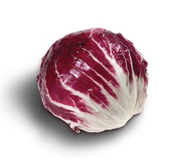 [792101251] RADICCHIO, XICOIRA BRUSEL·LES A UNITAT