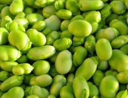 [230625] FAVES TENDRES PELADES
